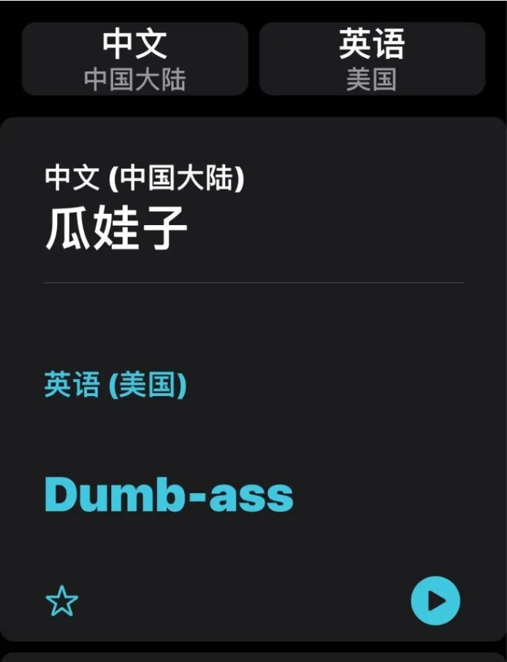 王屋镇苹果手机维修分享iOS14的“翻译太懂了”怎么用 